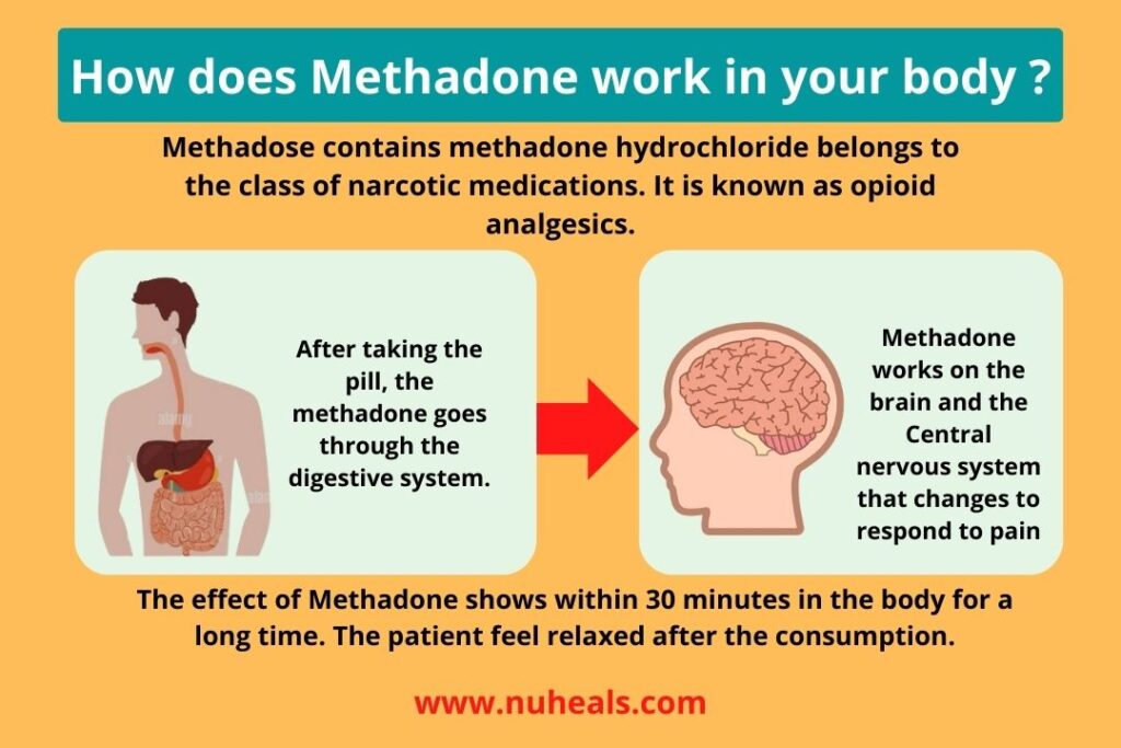 How does Methadone work in your body