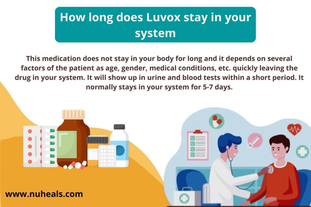 How long does Luvox stay in your system