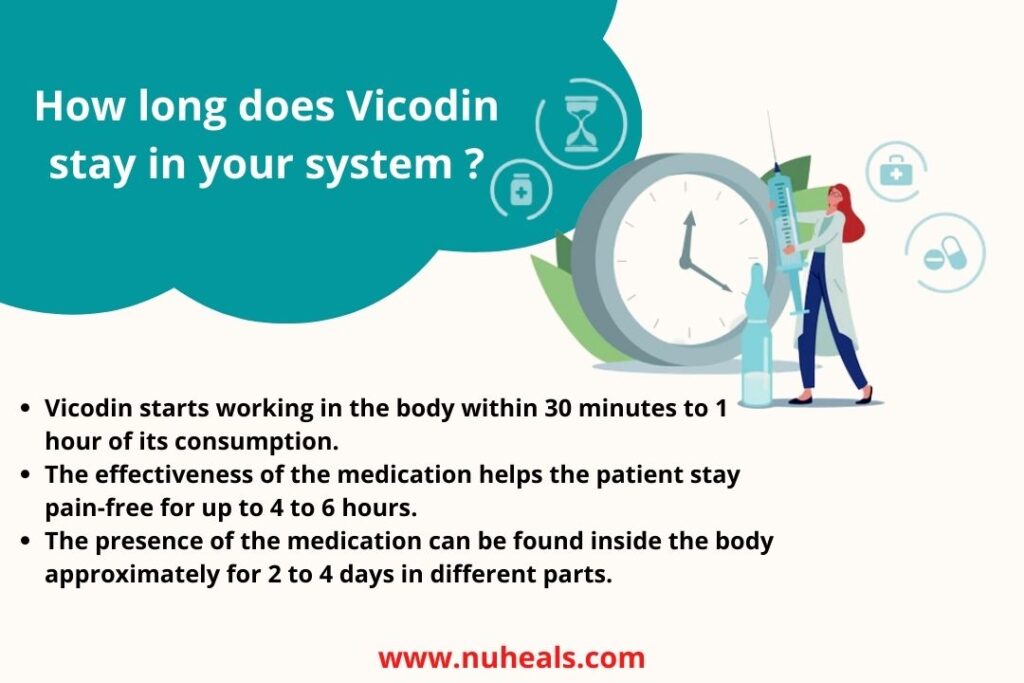 How long does Vicodin stay in your system