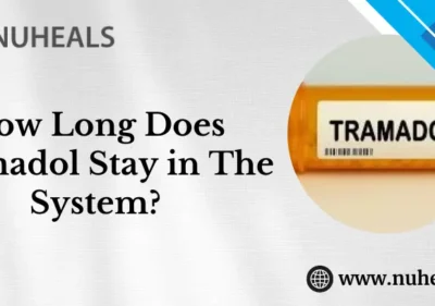 How Long Does Tramadol Stay in The System Alt Text