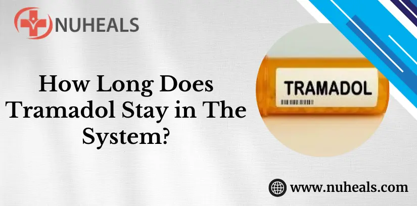 How Long Does Tramadol Stay in The System Alt Text