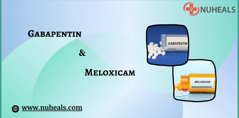 Gabapentin and Meloxicam Alt Text