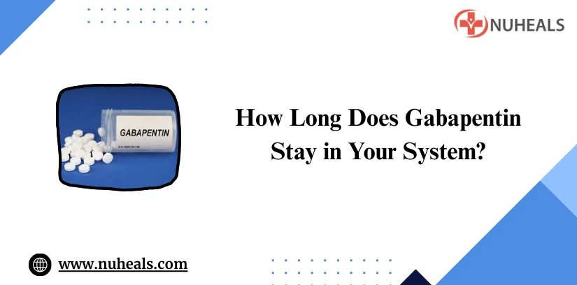 How Long Does Gabapentin stay in your System Alt Text