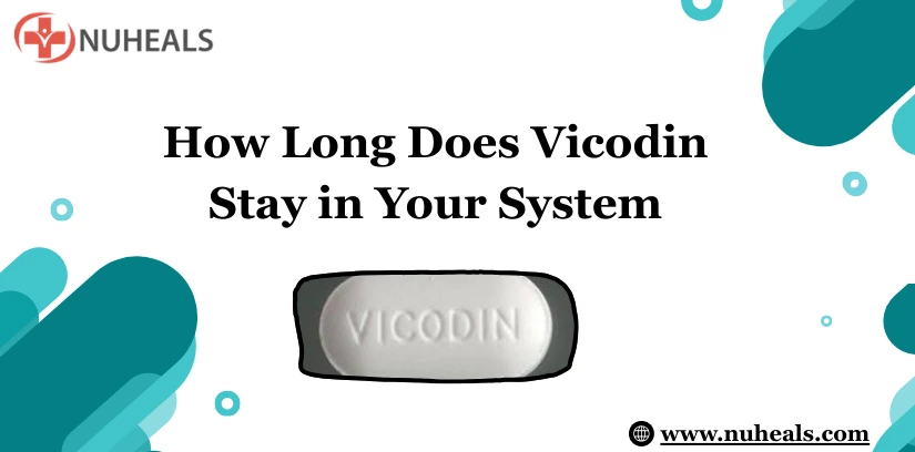 How Long Does Vicodin Stay in Your System Alt Text