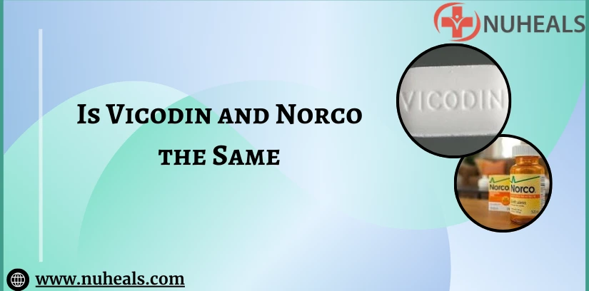 Is Vicodin and Norco the Same Alt Text