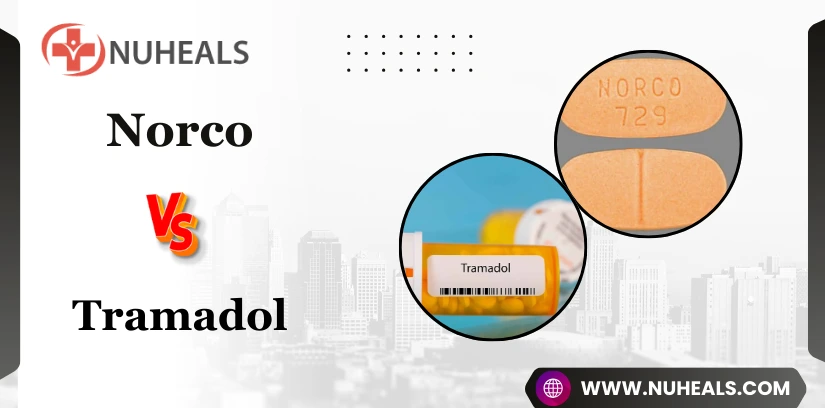 Norco Vs Tramadol Alt Text