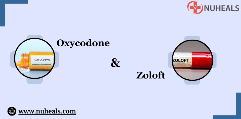 Oxycodone and Zoloft Alt Text