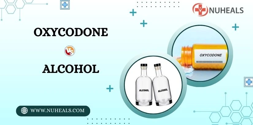 Oxycodone Vs Alcohol Alt Text