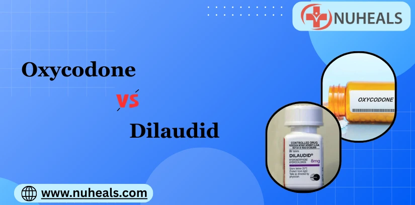 Oxycodone Vs Dilaudid Alt Text