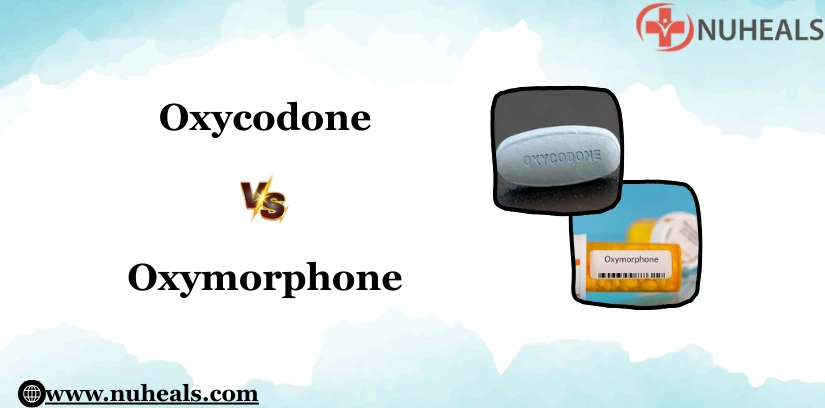 Oxycodone Vs Oxymorphone Alt Text