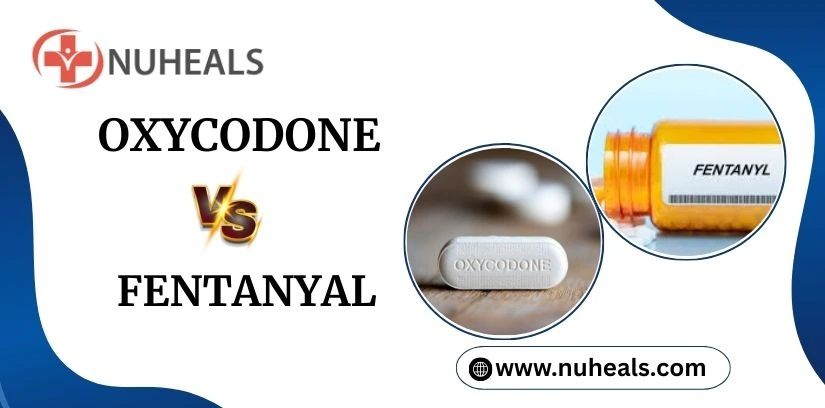 Oxycodone Vs Fentanyl Alt Text