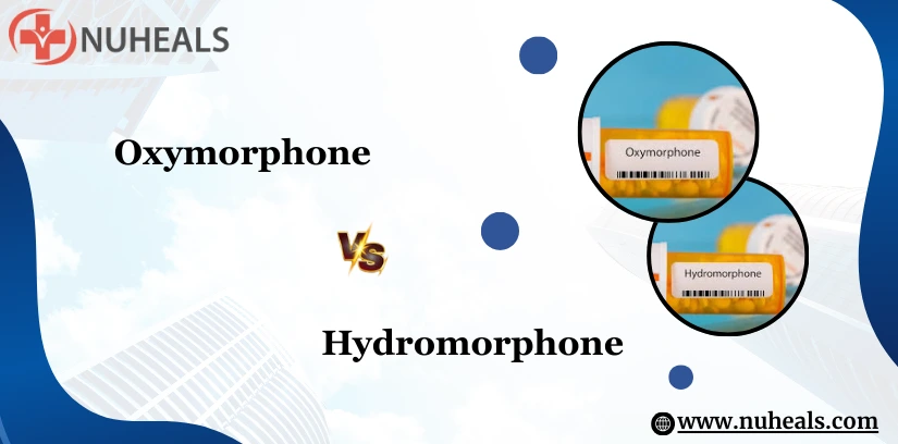 Oxymorphone Vs Hydromorphone Alt Text