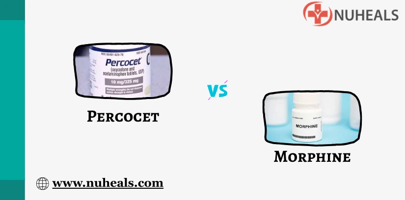 Percocet Vs Morphine Alt Text