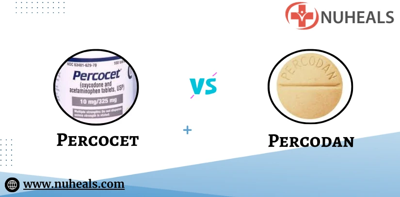 Percocet Vs Percodan Alt Text