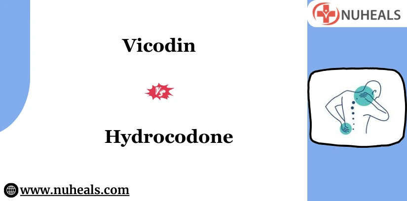 Vicodin Vs Hydrocodone Alt Text