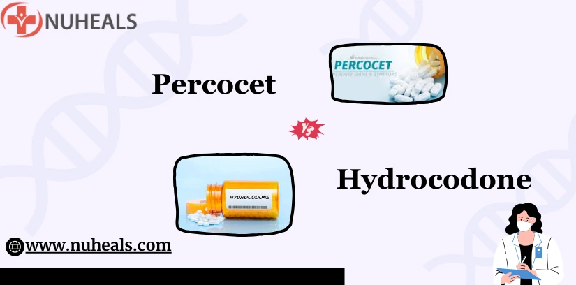 Percocet Vs Hydrocodone Alt Text